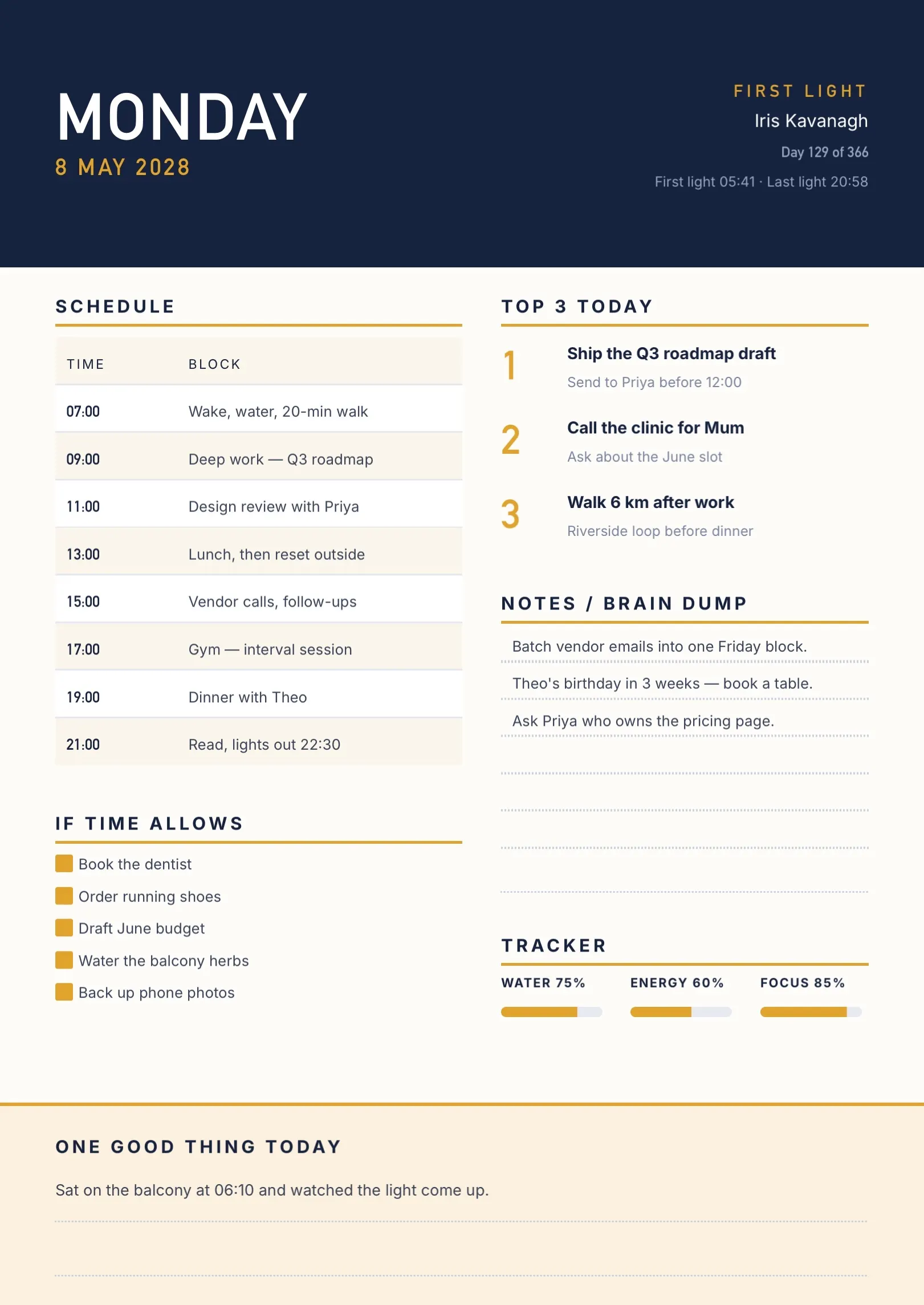 Navy Planner Template with Skill Bars and Tables