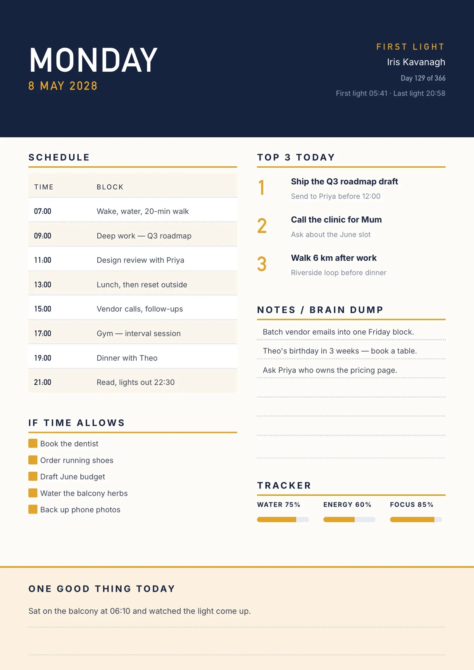 Navy Planner Template with Skill Bars and Tables