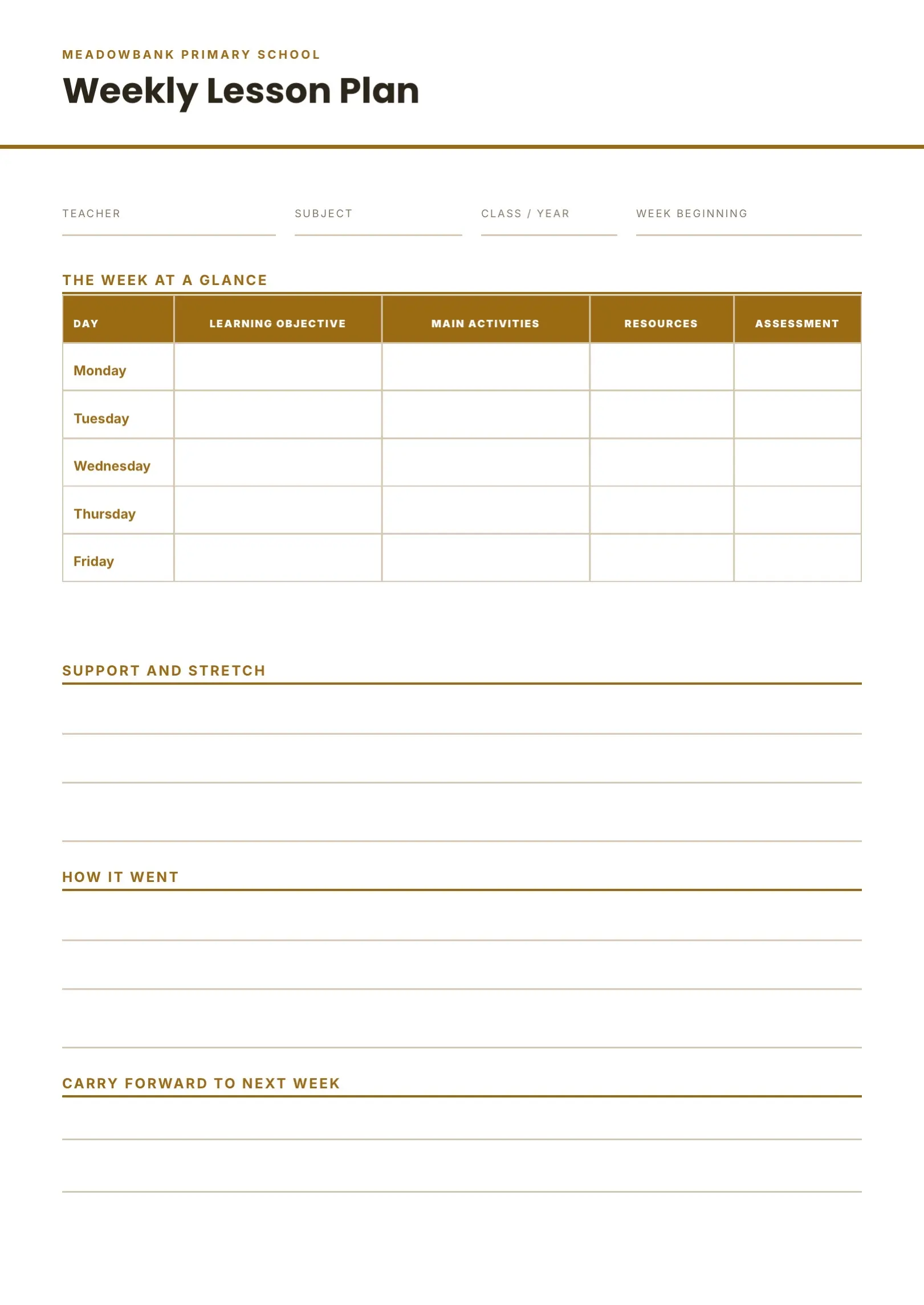 Amber Professional Lesson Plan Template